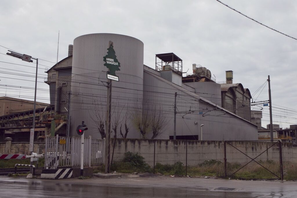 DeoSmog, Arbre Magique gigante Barletta 12 marzo 2016 (4) (Copia)