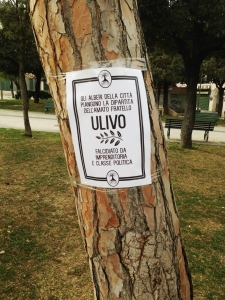foto manifesti ulivi