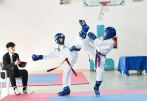 Taekwondo 2