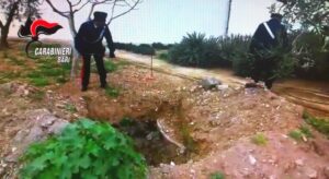 L'orto botanico nel momento del sequestro. L'immobile è ora tornato a disposizione dell'amministrazione comunale