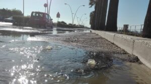 Il Canale H: secondo Basile un problema non affrontato al meglio
