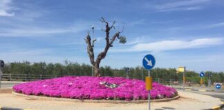 La rotonda di contrada Santuario rimessa a nuovo dalla Bar.S.A.