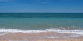 Arriva l’estate a Barletta, che fine fanno i rifiuti nel weekend?