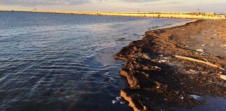 “O mare nero”? A Barletta Lucio Battisti torna di moda