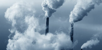 «A Barletta la tregua è finita, sono tornati miasmi e cattivi odori»