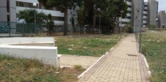 La consigliera Grazia Desario solleva dubbi sui giardini di via Vanvitelli