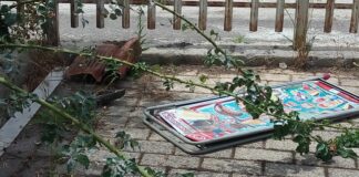 Via Vanvitelli: insetti volanti, scarafaggi e incuria