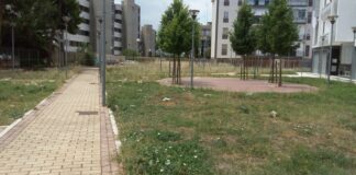 Grazia Desario: «Via Vanvitelli, si chiarisca la posizione della società “Abitare”»