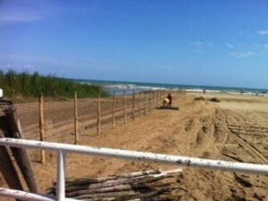Il Canale H, causa della scarsa balneabilità delle acque della Litoranea di Ponente