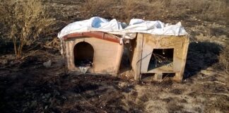 Cucce per cani abusive, tutto in fiamme all’ex discarica