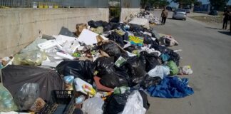 Crisi Sia, Lamacchia-di Feo: «Sono tutte chiacchiere»