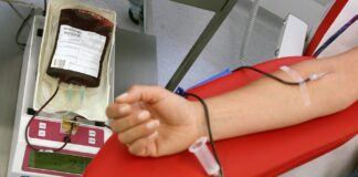 Un chilo di gelato per i donatori di sangue Avis