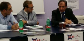 Pianificazione strategica del commercio, Damiani: «Basta con il cimitero dei capannoni»