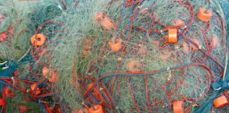 Oltre 17 milioni di euro per gli operatori della pesca e dell’acquacoltura in Puglia
