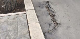 Via delle Belle Arti distrutta dalle radici degli alberi