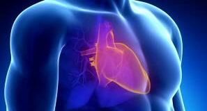 Oggi in Sala Rossa l’incontro sulla cardioprotezione e sicurezza