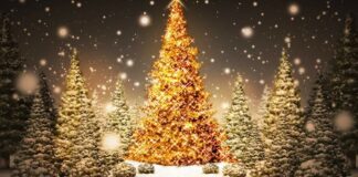 Dall’Immacolata all’Epifania: un mese di eventi a Barletta e dintorni