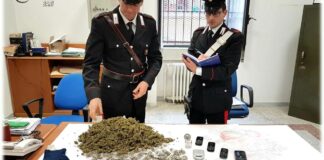 Marjuana fatta in casa, due persone in manette a Barletta