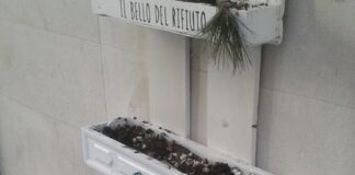 Barletta: la città dove anche un furto di piante diventa consuetudine