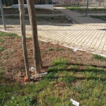 Degrado in via Vanvitelli