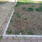 Degrado in via Vanvitelli