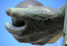 Qualità della vita, la BAT sale all’83º posto nella classifica del Sole 24 ore