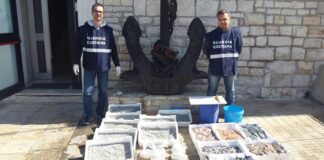 Commercio abusivo di pesce, sotto sequestro 200 chili di merce