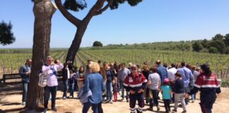 1000 visitatori a Canne della Battaglia nell’apertura straordinaria Canne della Battaglia