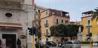 Muore un gattino lanciato da un’auto in corsa a Barletta Muore gattino lanciato da auto