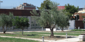 Orto botanico Barletta, procede il piano di caratterizzazione