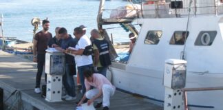 La Guardia Costiera di Barletta sequestra 200 Kg di pescato