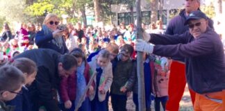 Giornata nazionale degli alberi, Barletta risponde ‘presente’