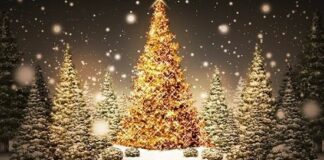 Buon Natale dalla redazione