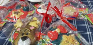 Natale solidale con l’Unitalsi di Barletta