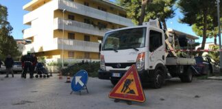 Vento forte in via Canosa, cadono alberi