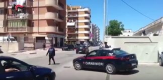 “Uccidiamo per una mucca, figurati per soldi”: operazione antidroga dei carabinieri