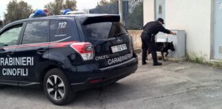Operazioni antidroga, tre arresti a Barletta