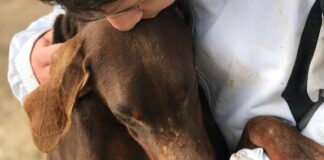 Canile comunale di Barletta, dipendenti in agitazione