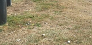 Panchine danneggiate e rifiuti nel parco “Mennea”, sopralluogo dell’amministrazione
