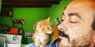 Giornata Mondiale degli Animali: la lettera di un cittadino