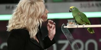 Il Teatro Curci in diretta su Rai 1 nello show televisivo Portobello