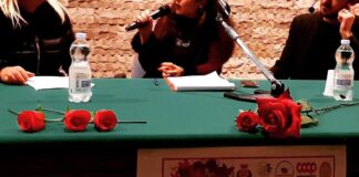 Violenza alle donne, oltre gli stereotipi altre prospettive