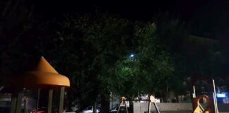 Luce tra i rami e buio fuori in piazza Federico II di Svevia