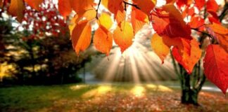 Meteo, festività natalizie all’insegna del bel tempo