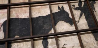 “L’uomo che rubò Bansky” arriva alla Multisala Paolillo