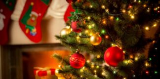 AiBi Puglia, domani tempo del consueto pranzo di Natale
