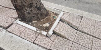 Arbusti sporgenti in via Paisiello, i residenti protestano