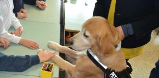 La dottoressa Caterina Calamo spiega cos’è la Pet Therapy