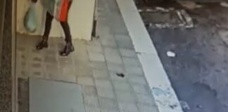 Sacchetto selvaggio a Barletta, una “zozzona” colta in flagrante