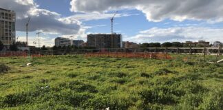 Area verde in via Palmitessa a Barletta: partiti i lavori